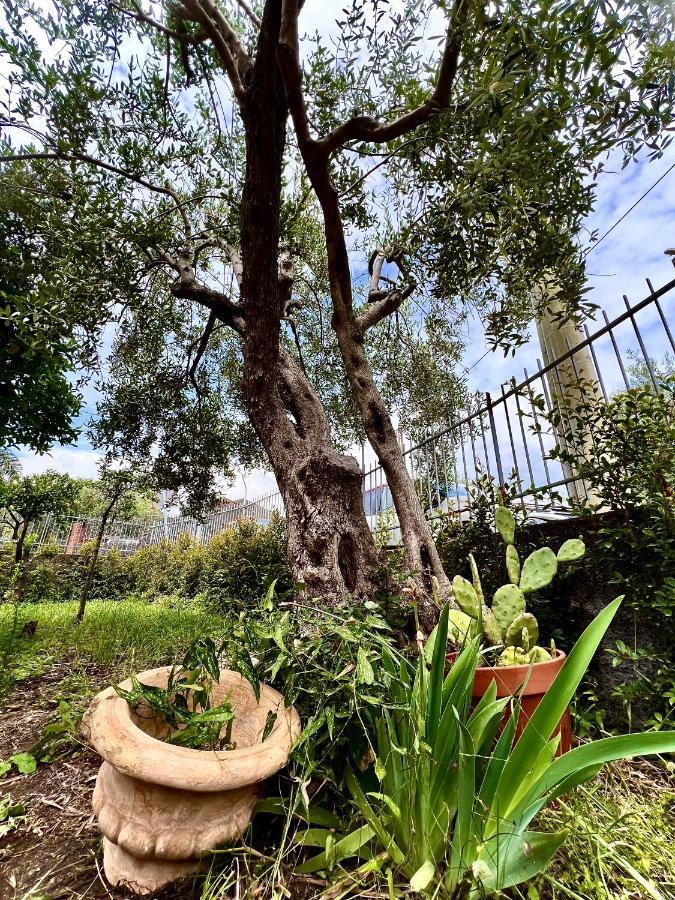 Casa Vacanze "Sautufao" Santa Venerina Dış mekan fotoğraf