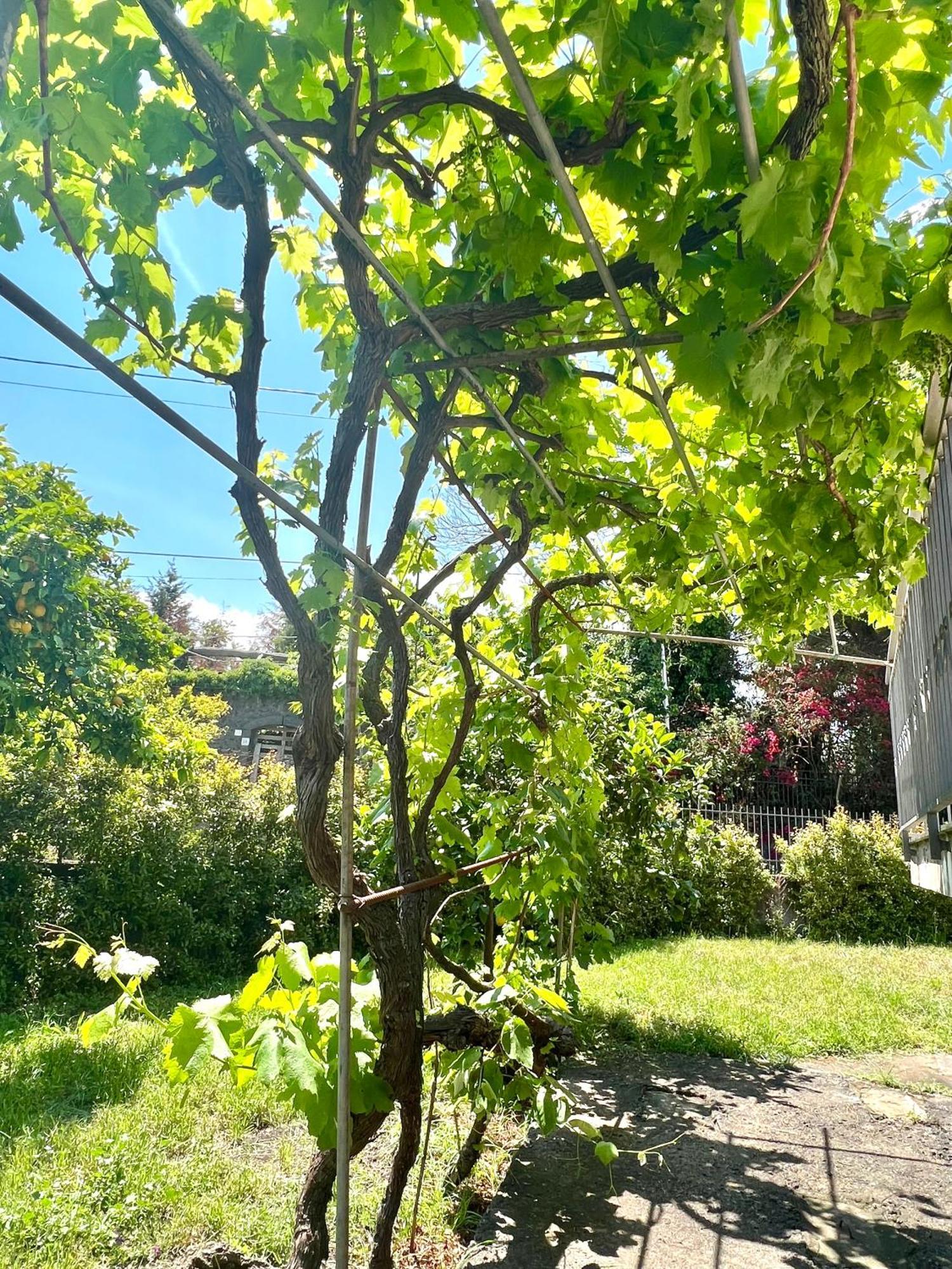 Casa Vacanze "Sautufao" Santa Venerina Dış mekan fotoğraf