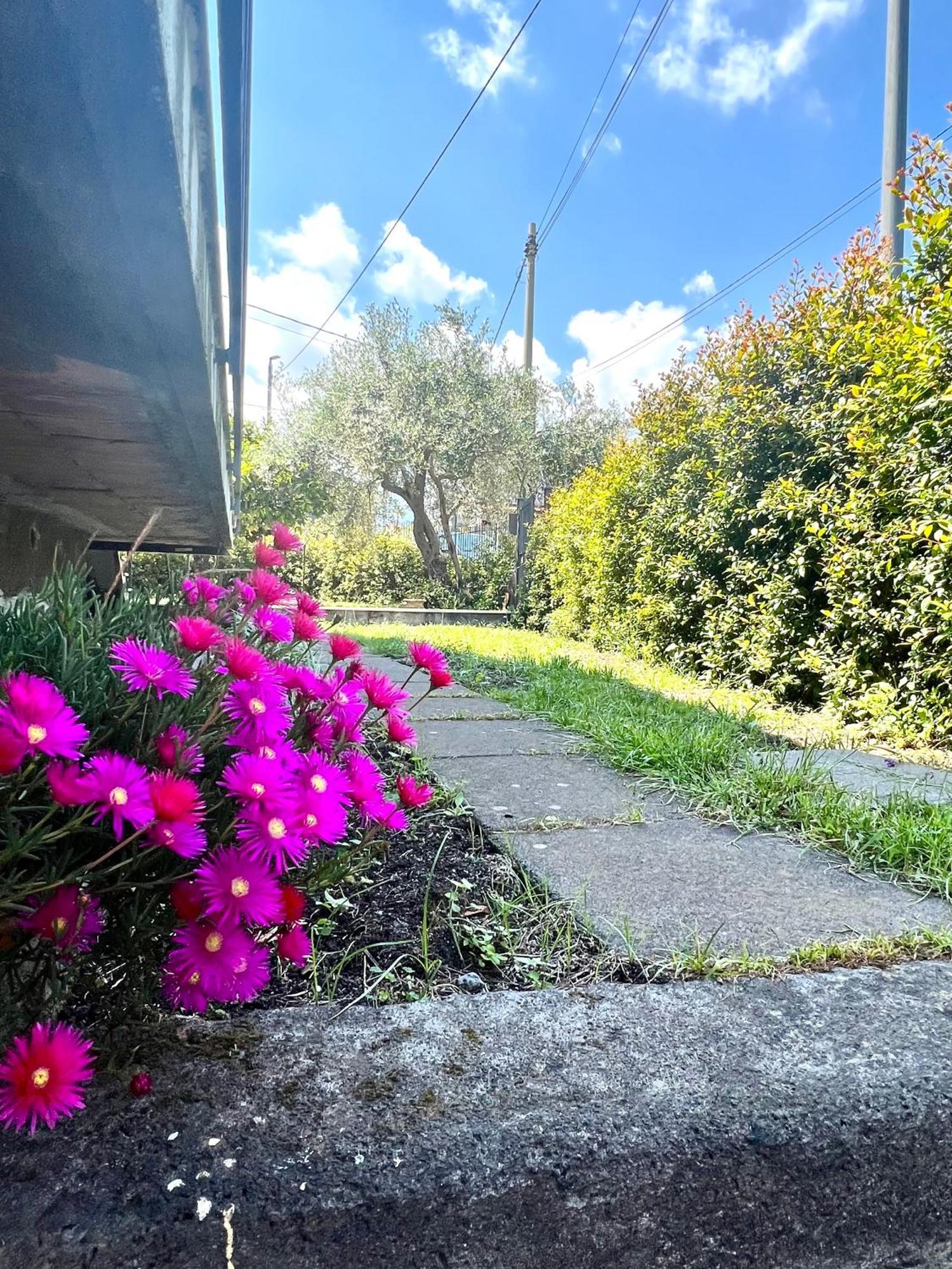 Casa Vacanze "Sautufao" Santa Venerina Dış mekan fotoğraf